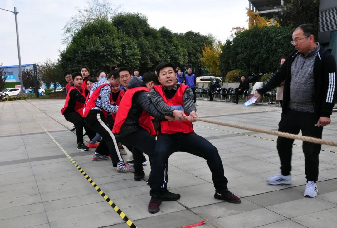 1606886010442231.jpg 10.jpg